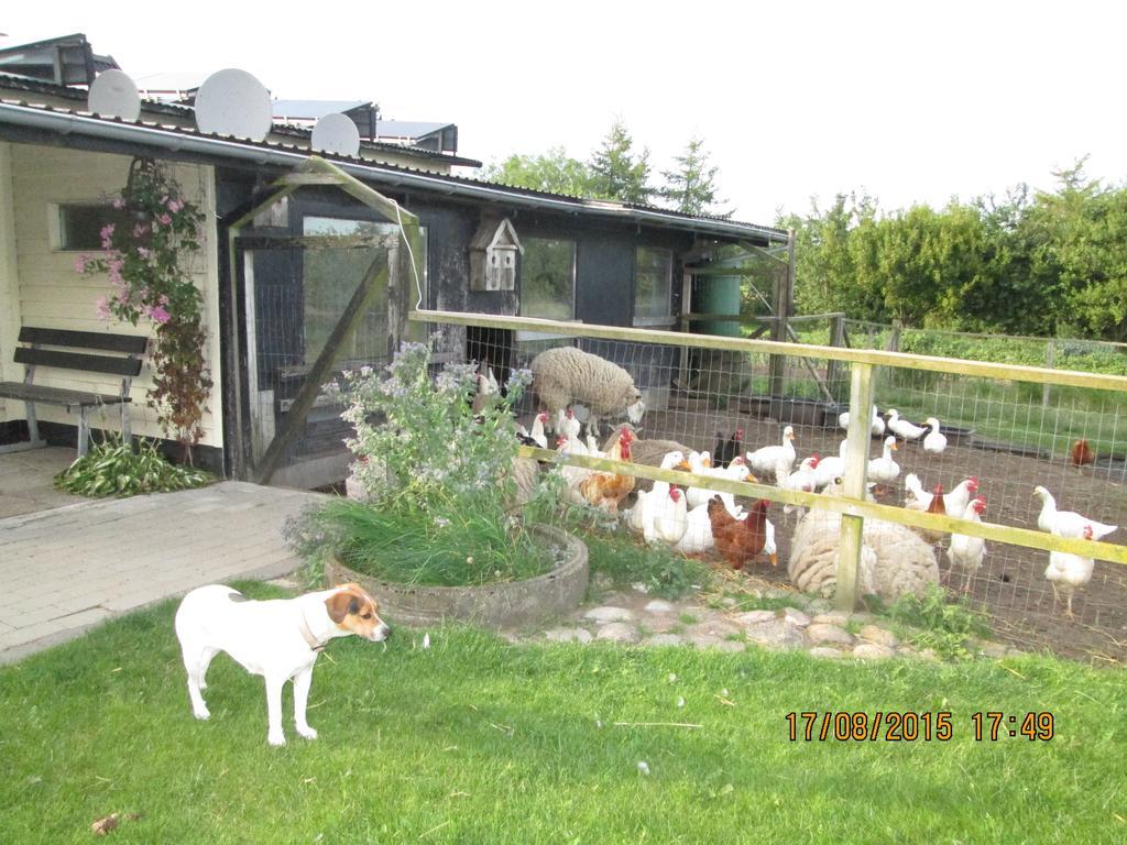 Bakkegarden Homestay Spottrup Kültér fotó