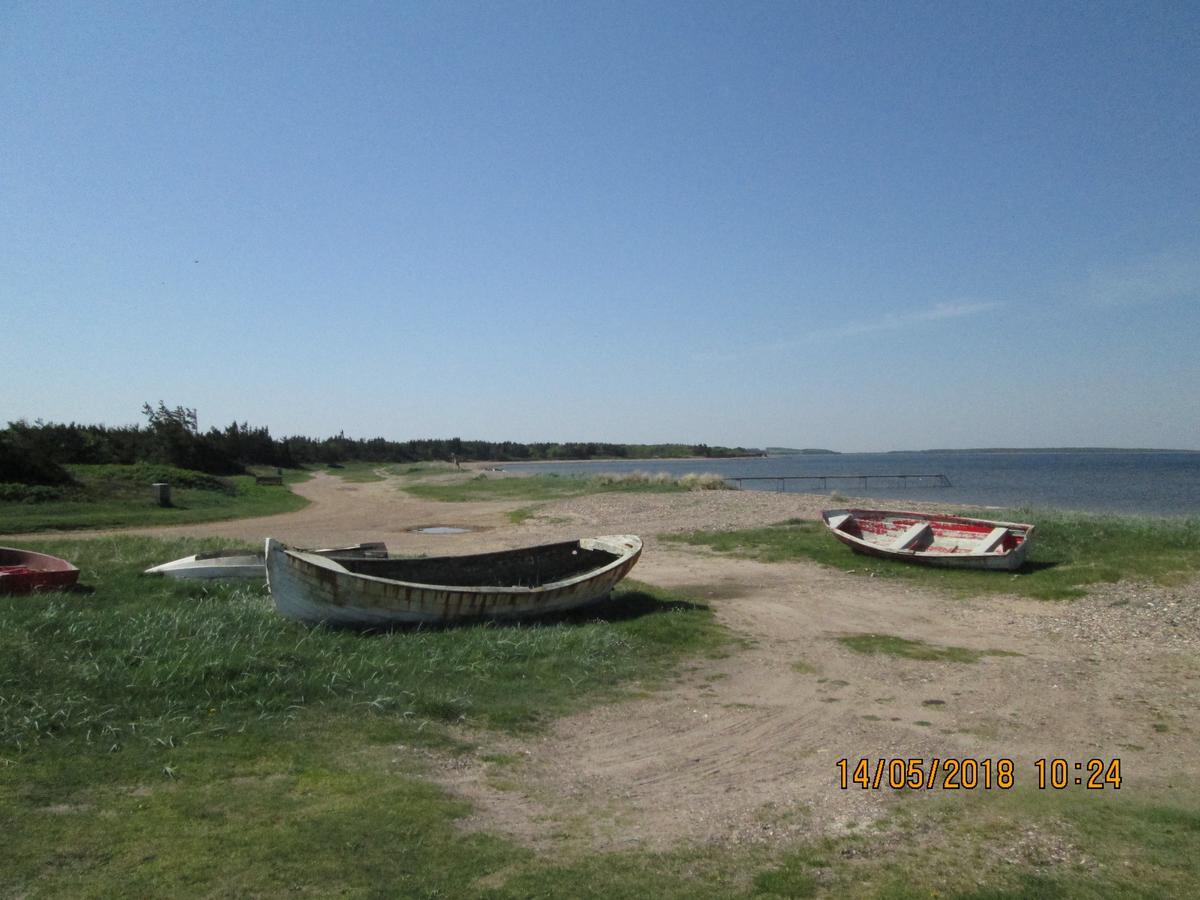 Bakkegarden Homestay Spottrup Kültér fotó